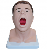 Тренажер взятия мазка из зева